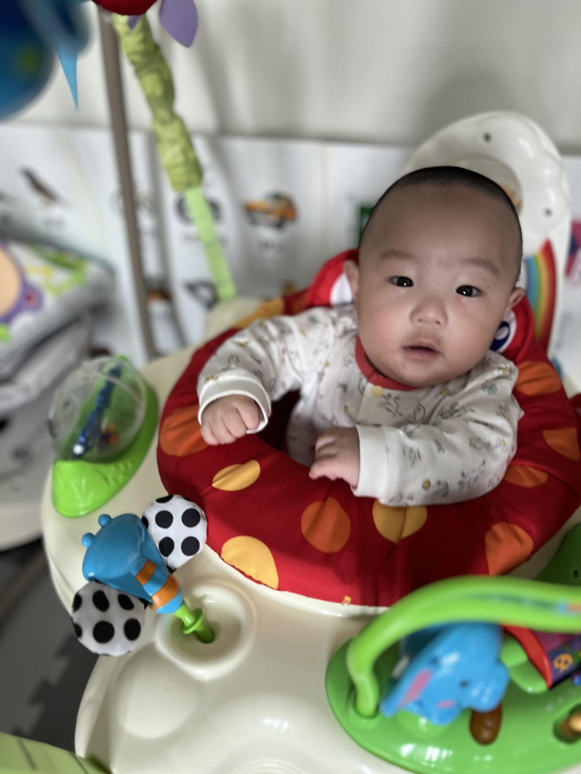 빨간색과 노란색 점박이 무늬의 아기 체육관(점퍼루)에 앉아 있는 아기 지호의 모습. 흰색 바탕에 작은 무늬가 있는 우주복을 입고 있으며, 카메라를 바라보고 있다. 체육관에는 검은색과 흰색 축구공 모양의 장난감과 초록색 손잡이 등이 보인다.