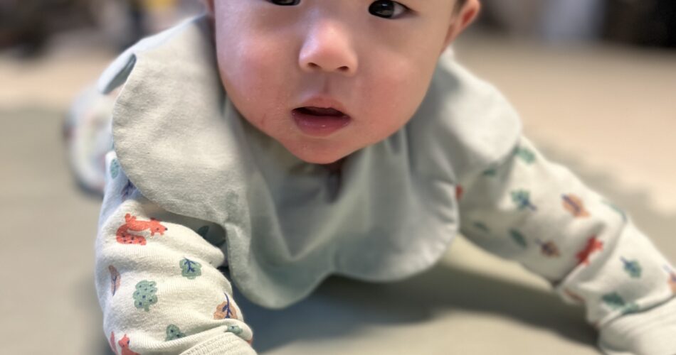 아기가 연두색 턱받이와 패턴 무늬 긴팔 옷을 입고 바닥에 엎드려 카메라를 똑바로 쳐다보고 있다. 뒤로는 흐릿한 책장이 보인다.