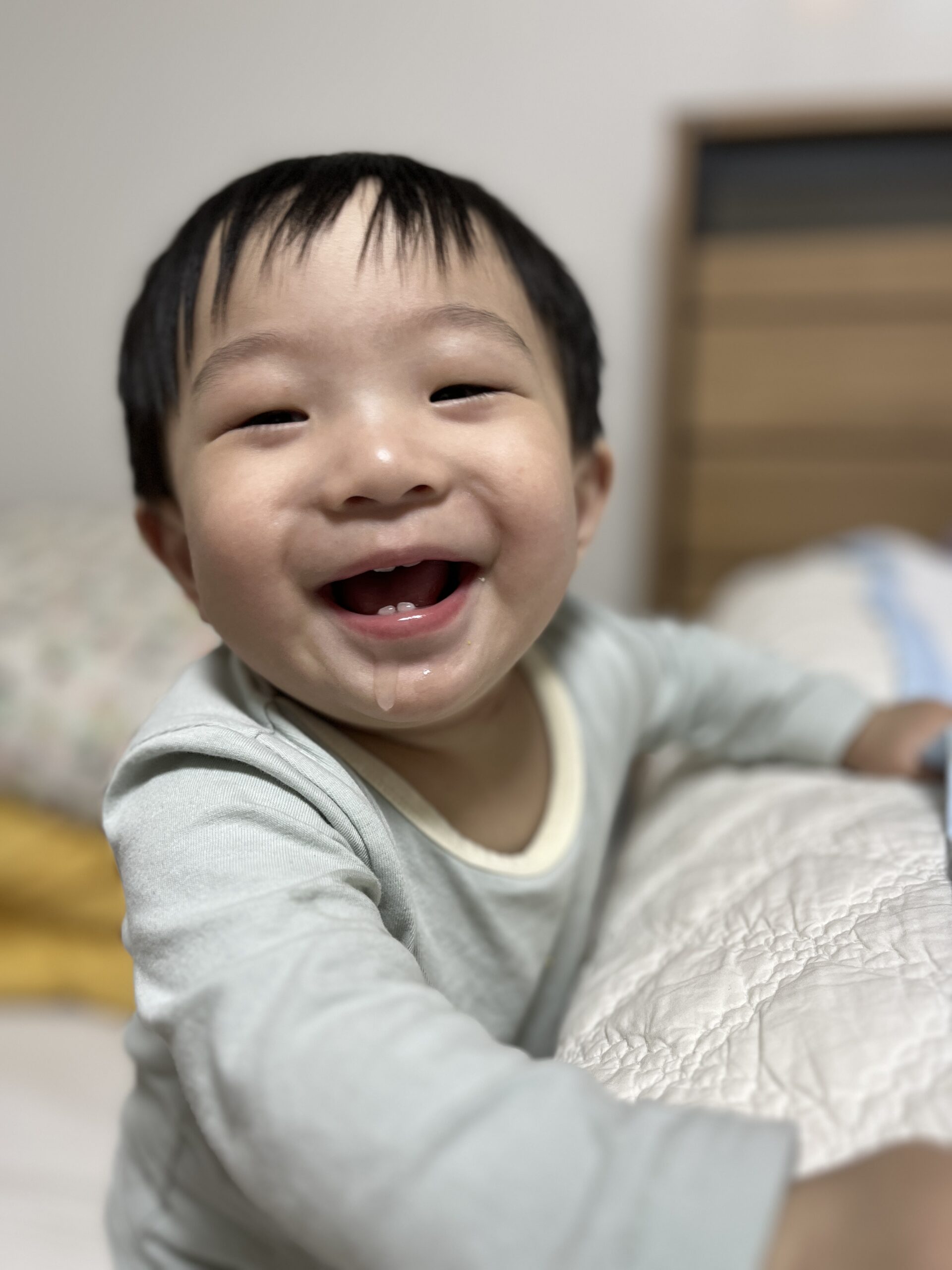 실내에서 천진난만하게 웃고 있는 아기 지호의 얼굴 근접 사진. 입을 크게 벌려 치아를 보이며 즐겁게 웃고 있으며, 턱에는 침방울이 맺혀 있다. 연두색 긴팔 옷을 입고 있다.