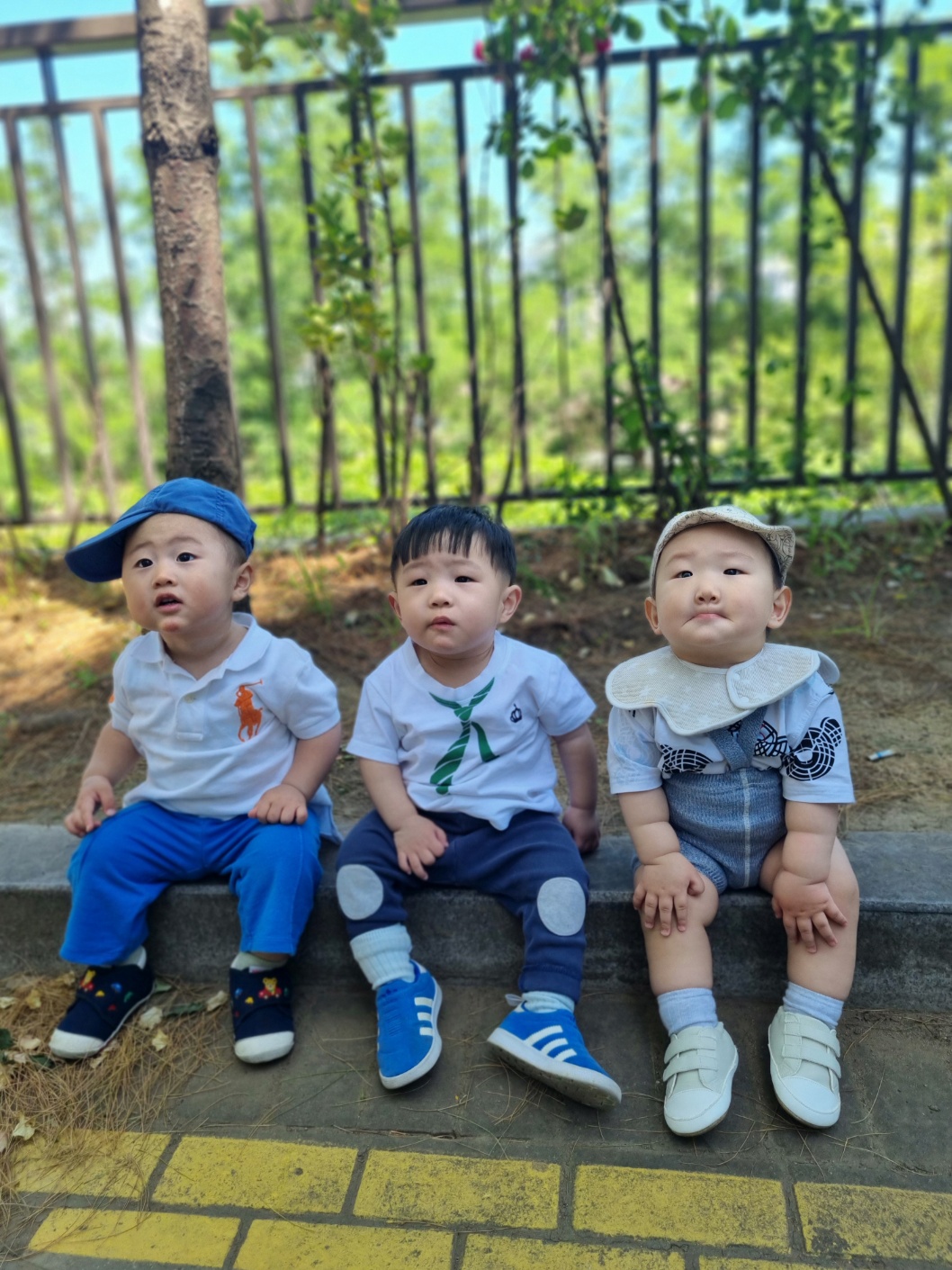 세 명의 아기가 나란히 야외 턱에 앉아 정면을 바라보고 있는 모습. 지호는 가운데에 흰색 폴로 셔츠와 초록색 넥타이 무늬 티셔츠를 입고 있다. 뒤편으로는 초록색 나뭇잎과 울타리가 보인다.
