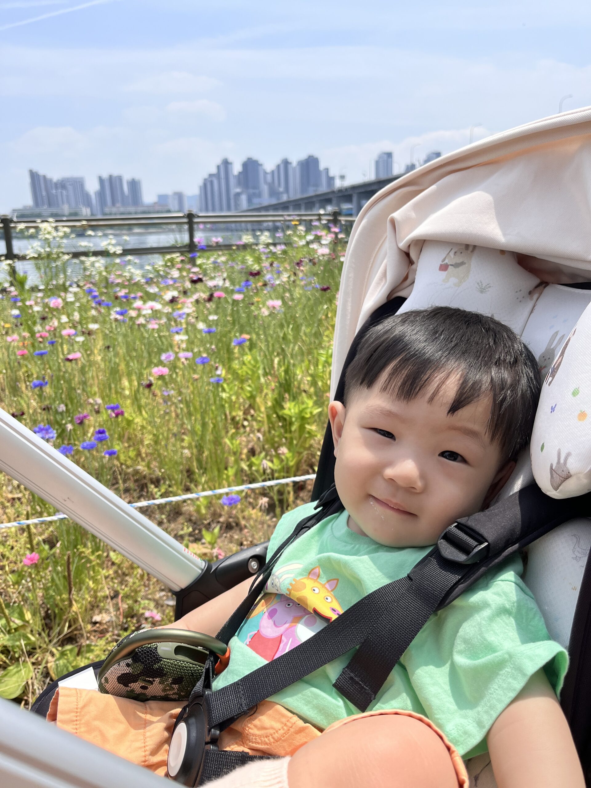유모차에 앉아 활짝 웃고 있는 지호의 클로즈업 사진. 연두색 티셔츠를 입고 있으며, 유모차 안전벨트를 매고 있다. 뒤로는 다양한 색깔의 꽃밭, 강, 그리고 멀리 보이는 도시의 고층 빌딩 스카이라인이 보인다.