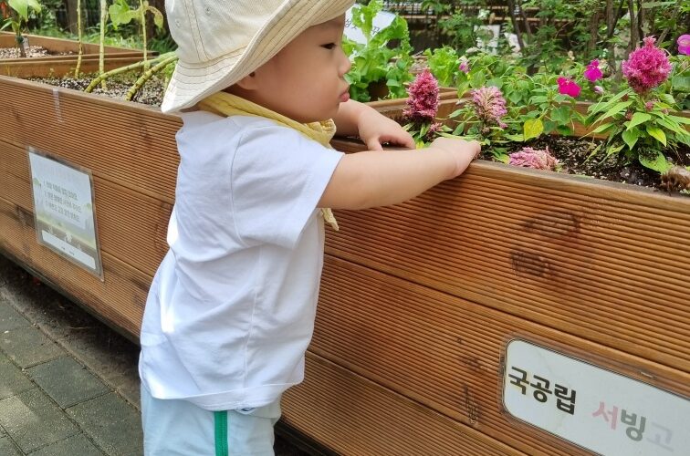 햇빛 아래서 하얀 모자와 노란색 보조기를 착용한 아기 지호가 나무 화분을 양손으로 짚고 서서 보라색, 분홍색 꽃이 피어있는 화단을 호기심 어린 눈빛으로 바라보고 있다. 배경에는 푸른 잎사귀들이 보인다.