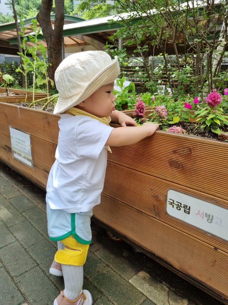 햇빛 아래서 하얀 모자와 노란색 보조기를 착용한 아기 지호가 나무 화분을 양손으로 짚고 서서 보라색, 분홍색 꽃이 피어있는 화단을 호기심 어린 눈빛으로 바라보고 있다. 배경에는 푸른 잎사귀들이 보인다.