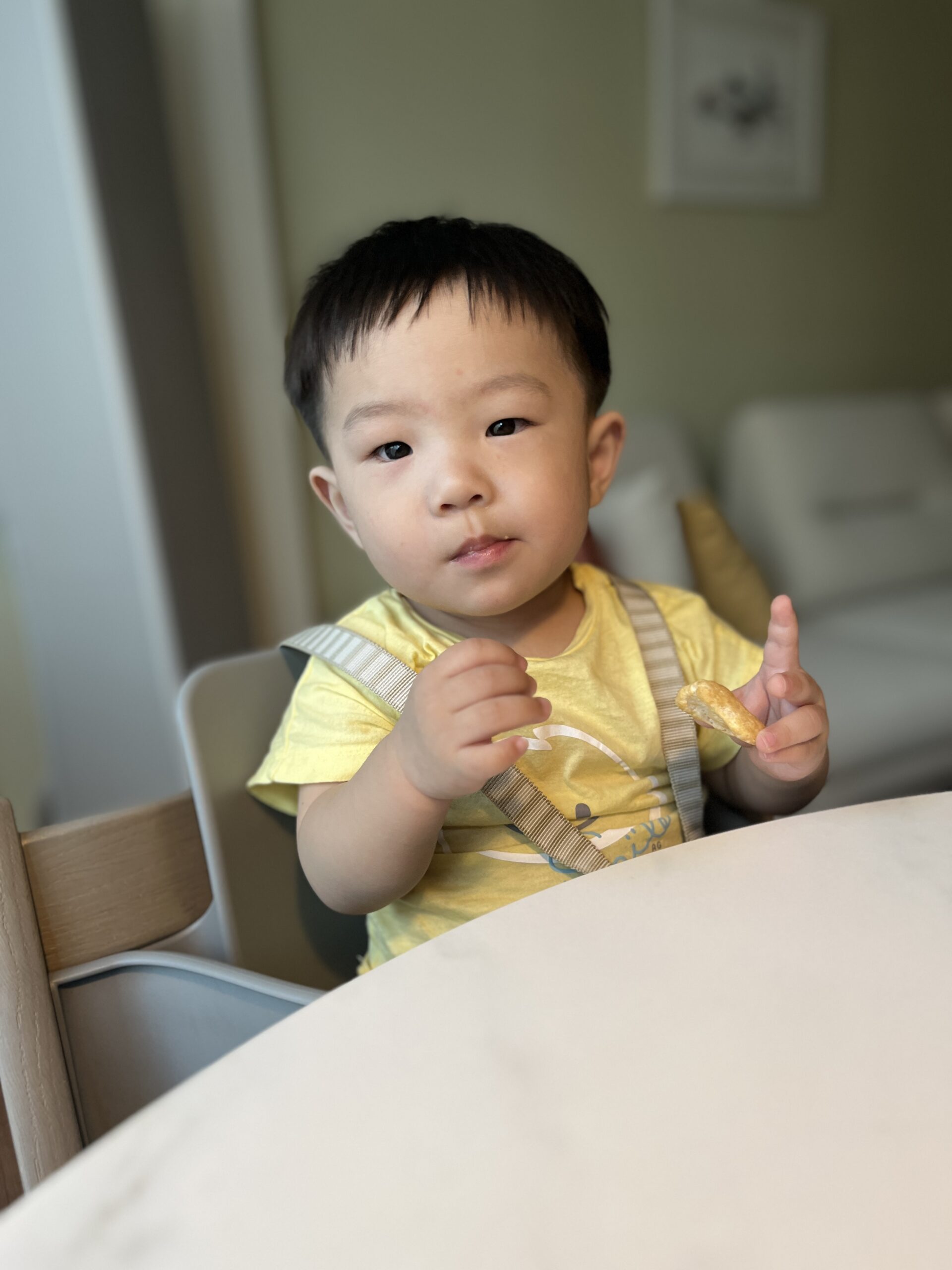 노란색 티셔츠와 멜빵을 입은 아기 지호가 하이체어에 앉아 흰색 식탁에 팔을 올리고 오른손에 과자를 들고 정면을 응시하고 있다. 다소 진지한 표정이다. 배경은 가정집 거실로 보인다.