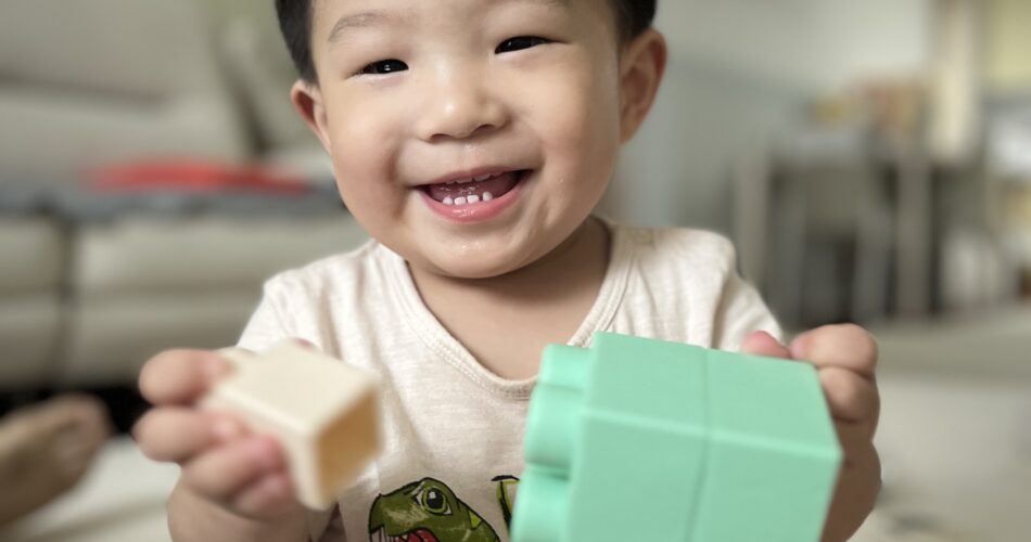 밝은 실내에서 지호가 앉아 웃으며 블록 두 개를 양손에 들고 있는 모습. 연한 베이지색 티셔츠에는 초록색 공룡 그림이 그려져 있다.