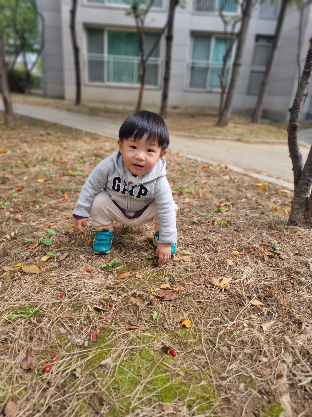 회색 GAP 후드티와 베이지색 바지, 파란색 신발을 신은 지호가 마른 풀과 낙엽, 작은 붉은 열매가 있는 땅에 쪼그려 앉아 카메라를 보고 살짝 미소 짓고 있다.