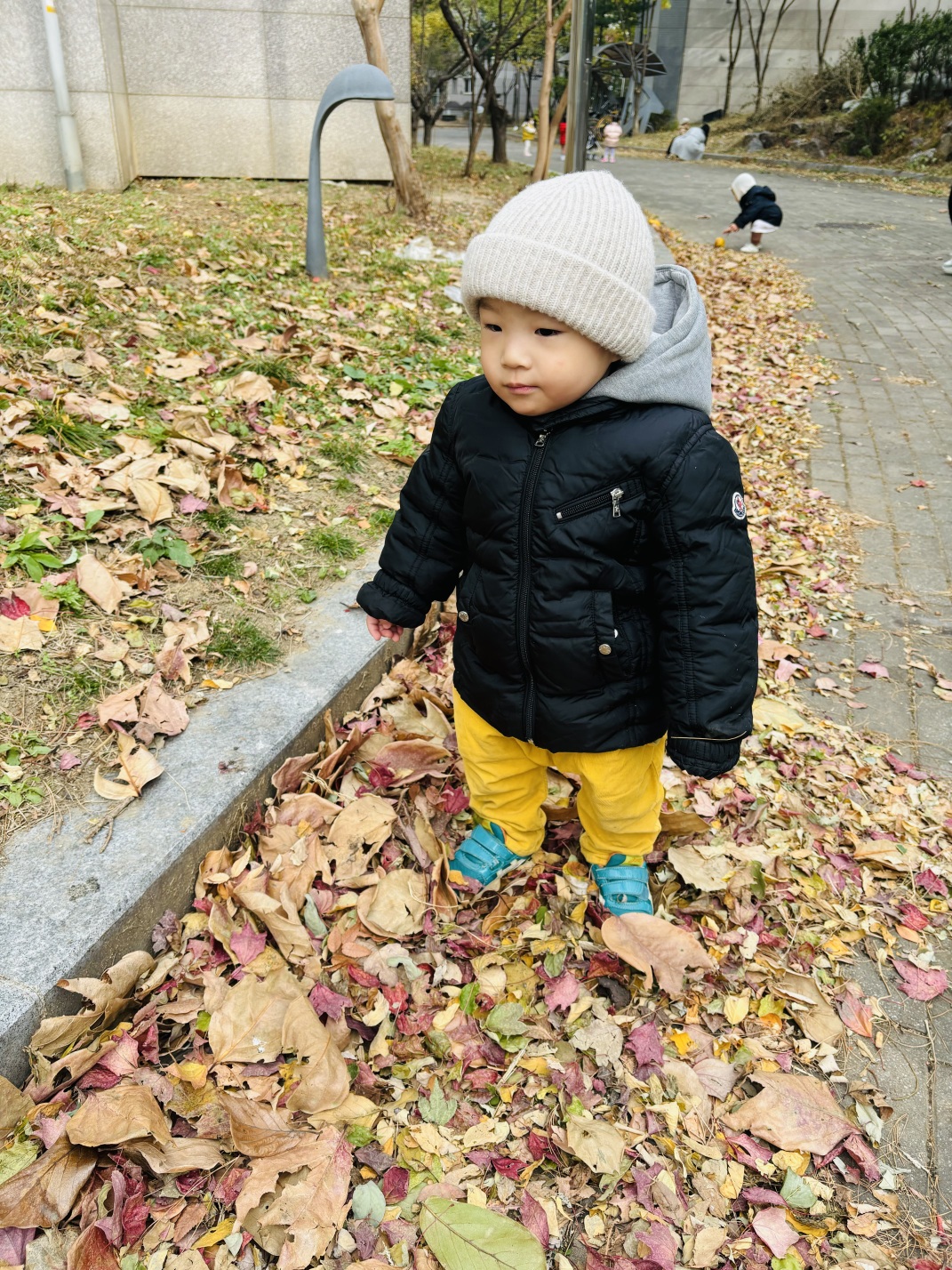 검은색 패딩과 노란색 바지, 베이지색 털모자를 쓴 지호가 낙엽이 수북이 쌓인 길을 걷고 있다. 지호는 바닥의 낙엽을 호기심 어린 눈빛으로 내려다보고 있다.