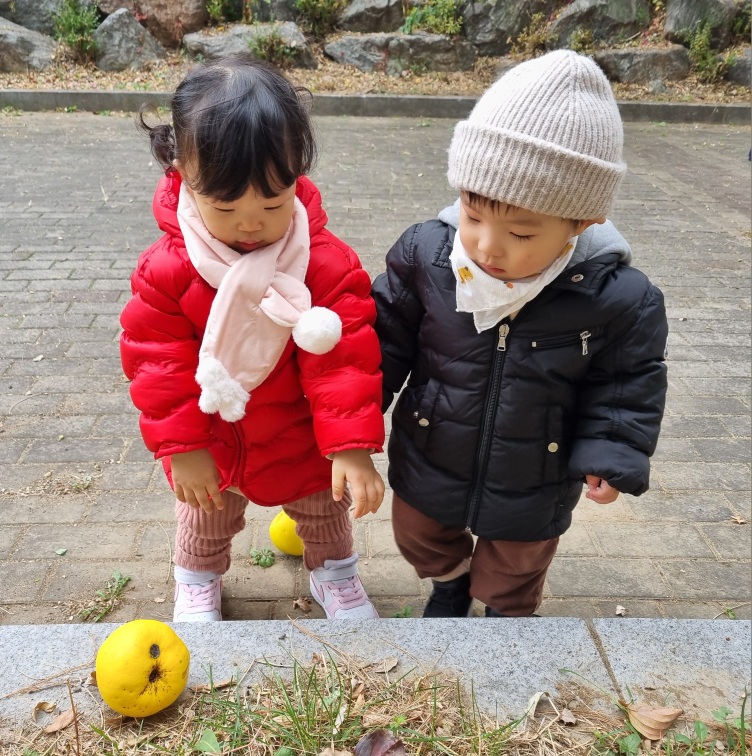 야외 보도블럭 위에서 붉은색 패딩을 입은 아이와 검은색 패딩과 베이지색 비니를 쓴 지호가 나란히 서서 땅에 떨어진 노란색 열매(모과로 추정)를 신기한 듯 내려다보고 있는 모습입니다. 아이들의 발 아래에는 낙엽과 풀이 섞여 있습니다.