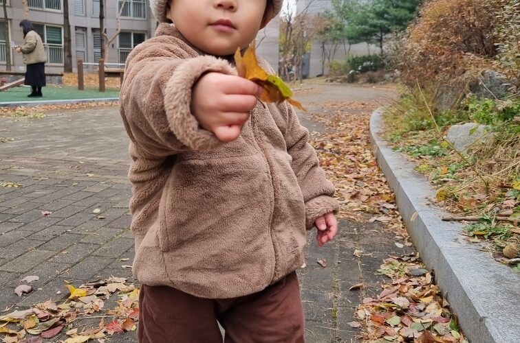 베이지색 털모자와 갈색 플리스 재킷을 입은 아이가 길가에 떨어진 노란 낙엽을 조심스럽게 들고 서서 바라보고 있다. 주변에는 붉고 노란 낙엽들이 가득하다.