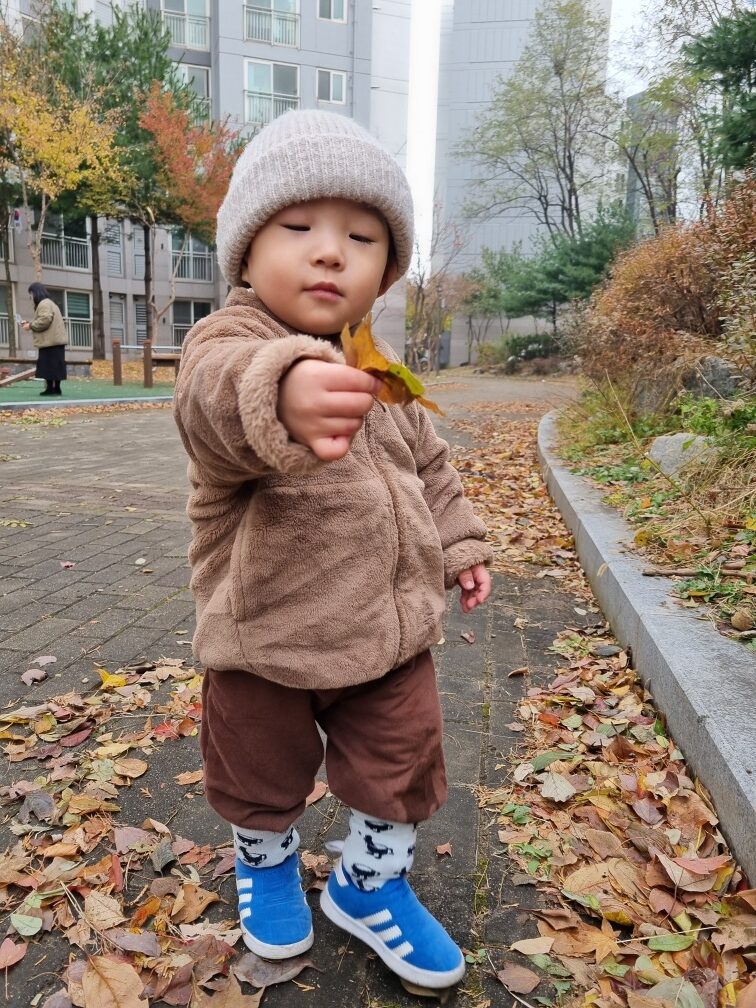 베이지색 털모자와 갈색 플리스 재킷을 입은 아이가 길가에 떨어진 노란 낙엽을 조심스럽게 들고 서서 바라보고 있다. 주변에는 붉고 노란 낙엽들이 가득하다.