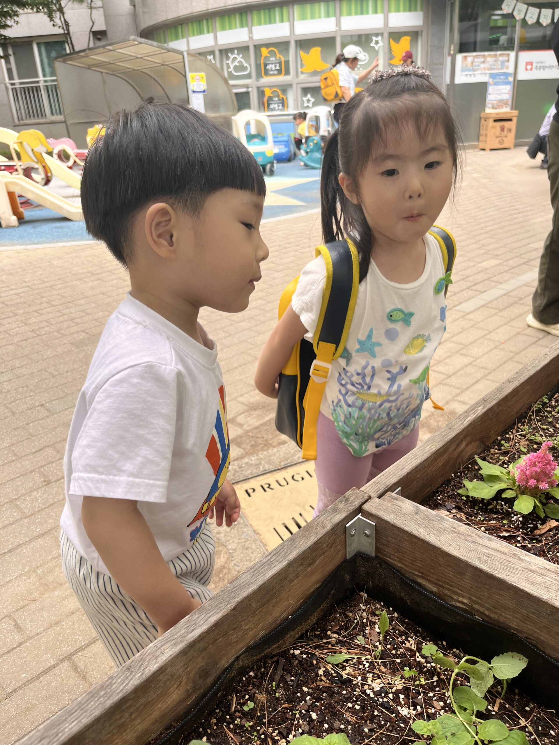 야외 화단에서 여자아이와 함께 허리를 굽혀 작은 식물들을 유심히 들여다보는 지호의 모습. 지호는 흰색 티셔츠와 줄무늬 반바지를 입고 있고, 여자아이는 왕관을 쓰고 작은 노란색 배낭을 메고 있다.