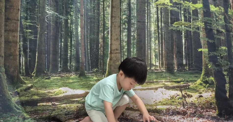 초록색 티셔츠를 입은 지호가 숲 배경 앞에서 나무 기차를 가지고 바닥에 앉아 집중해서 놀고 있습니다. 검은색과 흰색 도로 모양 매트 위에서 나무 레일을 따라 기차를 움직이고 있습니다.