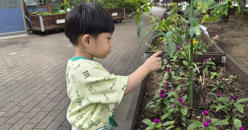 연두색 상하의를 입은 지호가 야외 화단에 심어진 보라색 꽃들을 손가락으로 가리키며 호기심 어린 표정으로 바라보고 있다. 주변에는 푸른 나무들과 건물이 보인다.