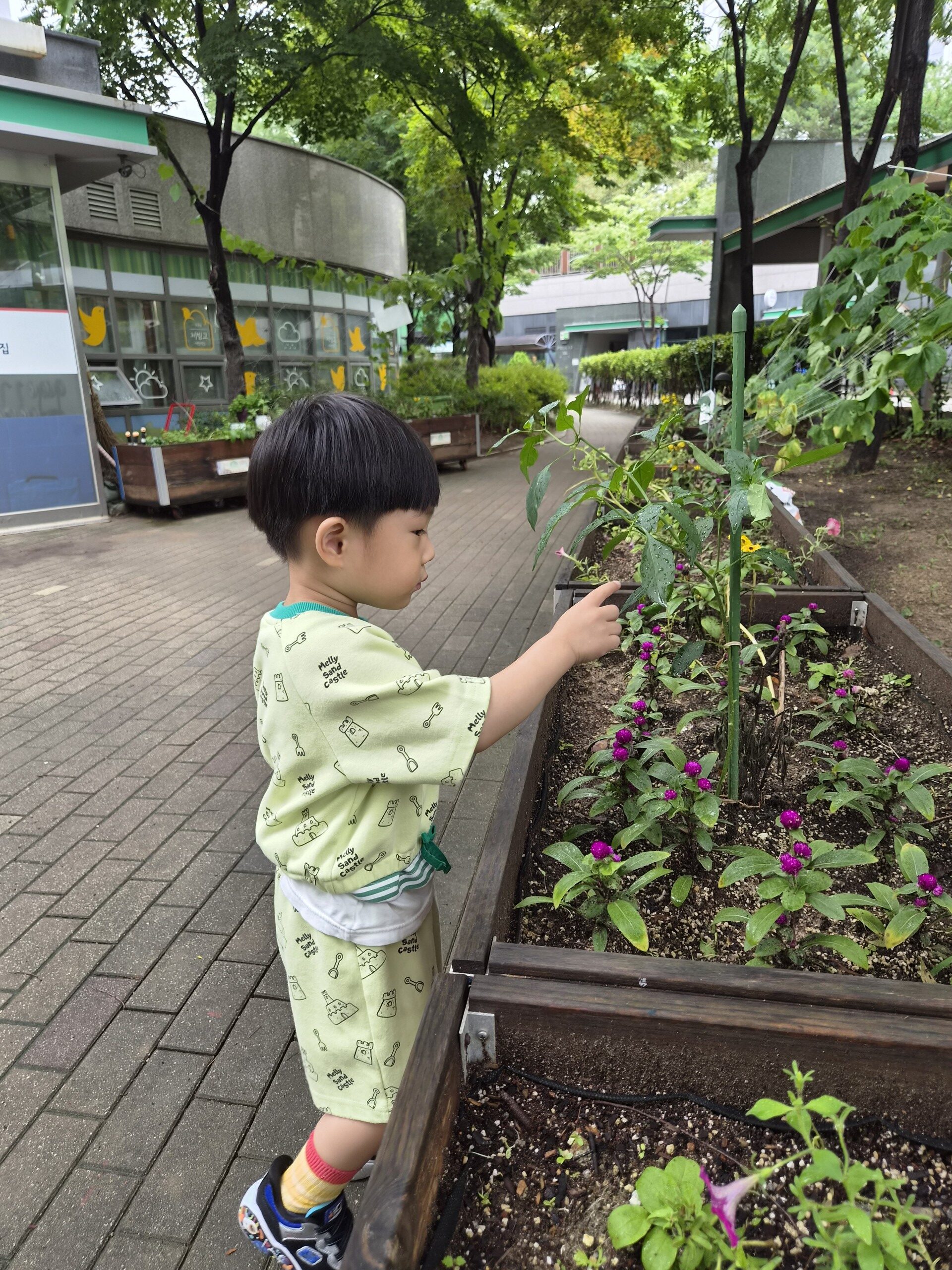 연두색 상하의를 입은 지호가 야외 화단에 심어진 보라색 꽃들을 손가락으로 가리키며 호기심 어린 표정으로 바라보고 있다. 주변에는 푸른 나무들과 건물이 보인다.