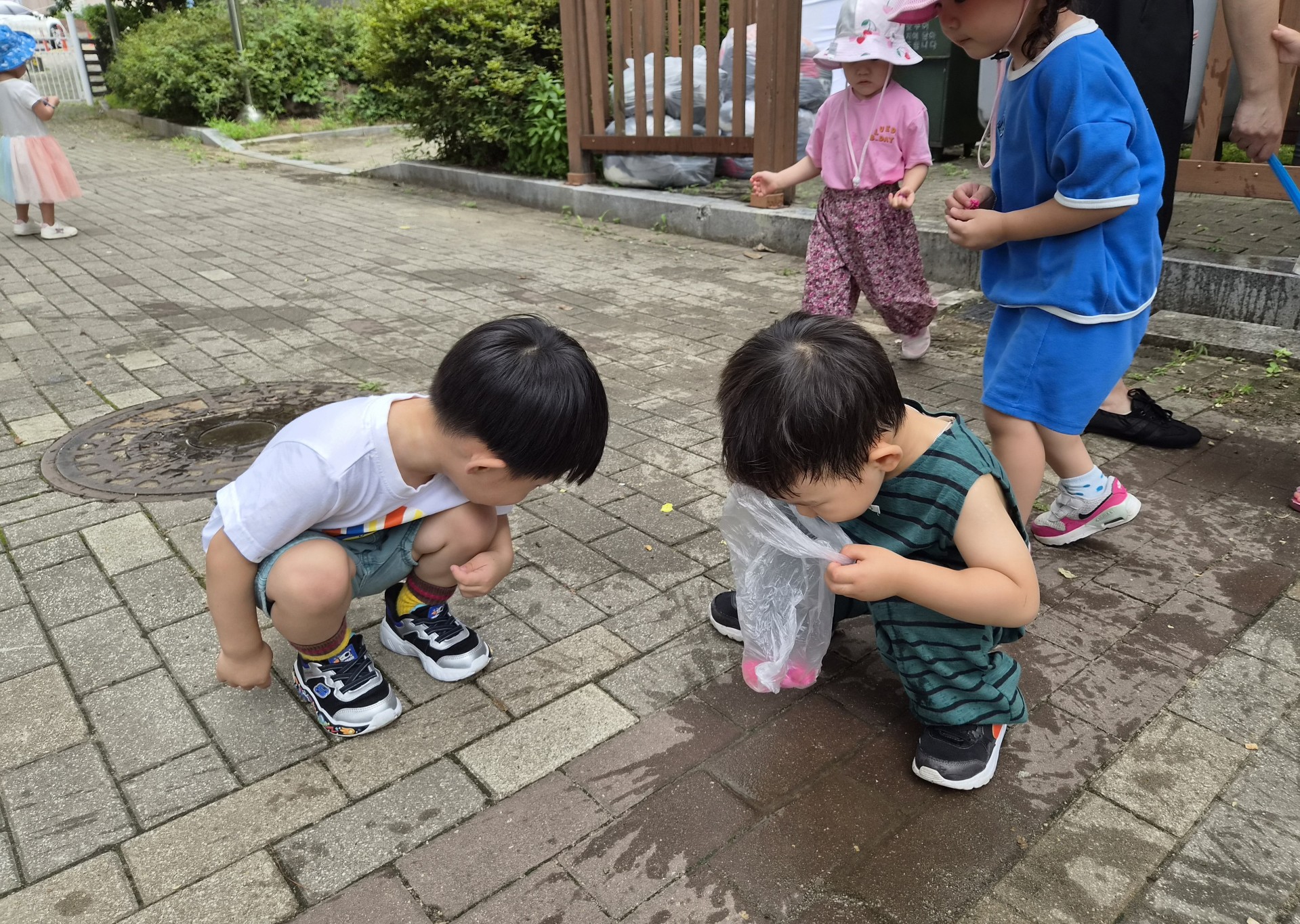 야외 포장된 바닥에 쪼그려 앉은 지호와 또 다른 어린이가 투명한 비닐봉지 속 내용물을 유심히 들여다보고 있다. 지호는 흰색 티셔츠를 입고 있으며, 두 아이 모두 무언가에 집중하고 있는 모습이다.